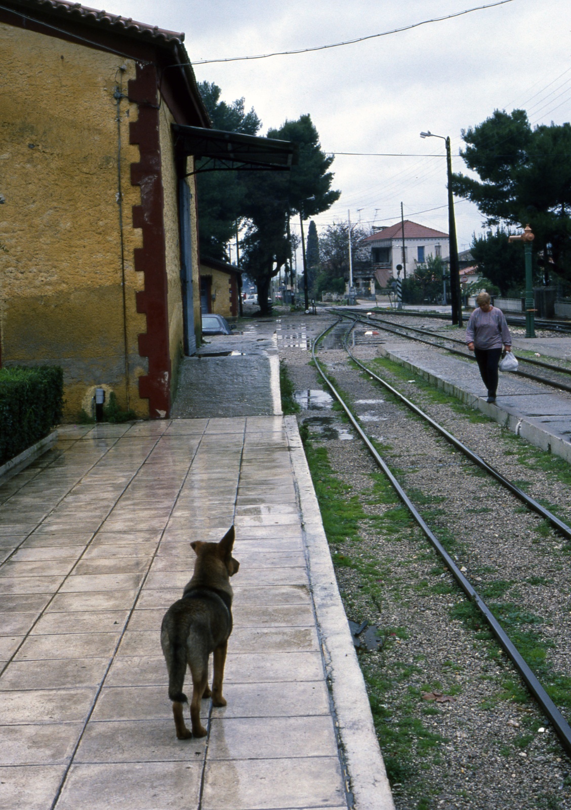 Kalavryta rail station
